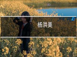 杨洪美(关于杨洪美的简介)