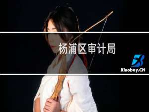 杨浦区审计局(关于杨浦区审计局的简介)