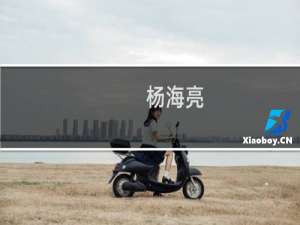 杨海亮(关于杨海亮的简介)