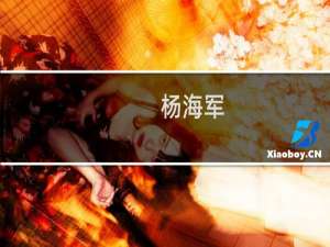 杨海军(关于杨海军的简介)