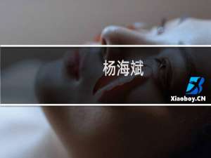杨海斌(关于杨海斌的简介)