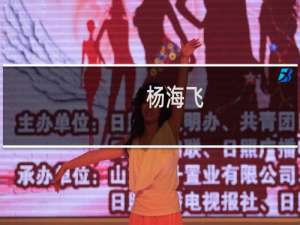 杨海飞(关于杨海飞的简介)