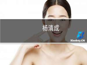 杨清成(关于杨清成的简介)