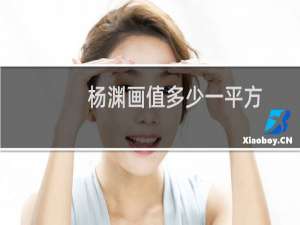 杨渊画值多少一平方