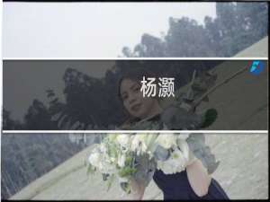 杨灏(关于杨灏的简介)