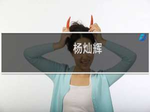 杨灿辉(关于杨灿辉的简介)