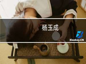 杨玉成(关于杨玉成的简介)