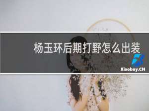 杨玉环后期打野怎么出装
