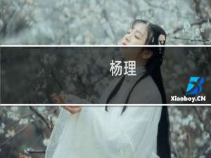 杨理(关于杨理的简介)