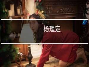 杨理定(关于杨理定的简介)