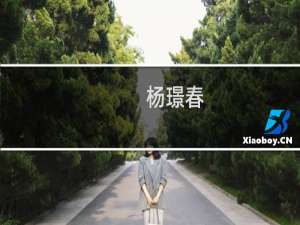 杨璟春(关于杨璟春的简介)