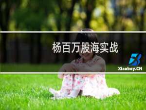 杨百万股海实战(关于杨百万股海实战的简介)