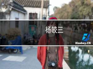杨皎三(关于杨皎三的简介)
