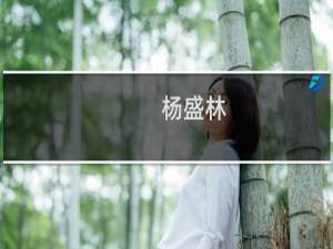 杨盛林(关于杨盛林的简介)