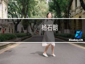 杨石朗(关于杨石朗的简介)