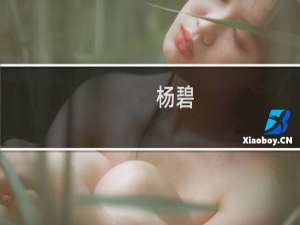 杨碧(关于杨碧的简介)