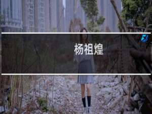 杨祖煌(关于杨祖煌的简介)