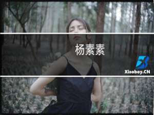 杨素素(关于杨素素的简介)