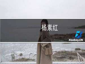 杨素红(关于杨素红的简介)