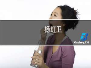 杨红卫(关于杨红卫的简介)