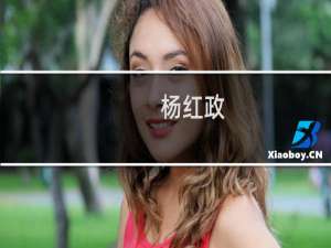 杨红政(关于杨红政的简介)