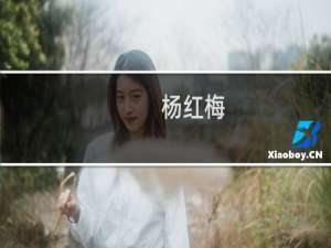 杨红梅(关于杨红梅的简介)