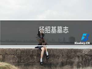 杨绍基墓志(关于杨绍基墓志的简介)