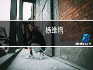 杨维增(关于杨维增的简介)