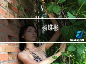 杨维彬(关于杨维彬的简介)