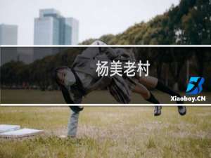 杨美老村(关于杨美老村的简介)