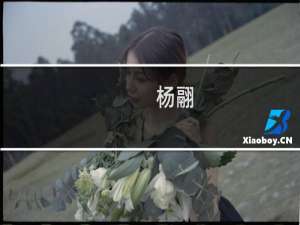 杨翮(关于杨翮的简介)