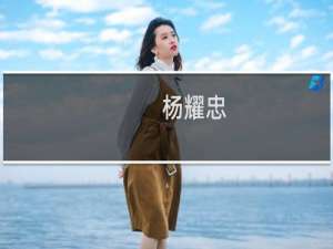 杨耀忠(关于杨耀忠的简介)
