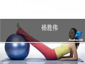 杨胜伟(关于杨胜伟的简介)