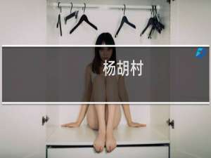 杨胡村(关于杨胡村的简介)
