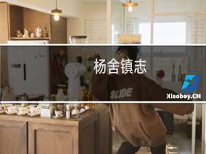 杨舍镇志(关于杨舍镇志的简介)