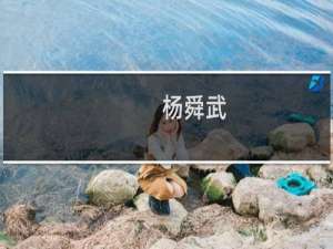 杨舜武(关于杨舜武的简介)