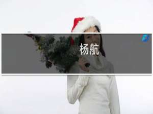 杨航(关于杨航的简介)