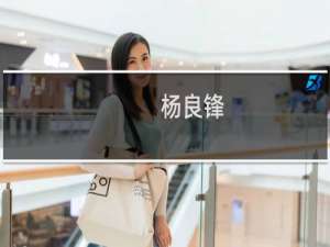 杨良锋(关于杨良锋的简介)