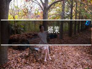 杨茉(关于杨茉的简介)