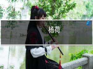 杨荷(关于杨荷的简介)
