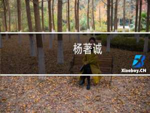 杨著诚(关于杨著诚的简介)