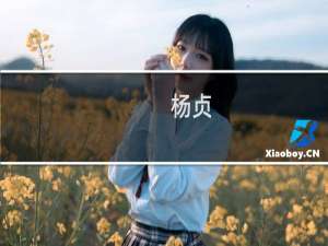 杨贞(关于杨贞的简介)