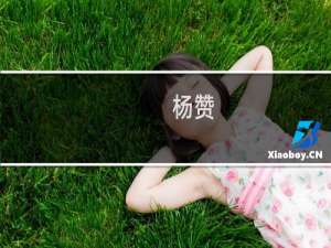 杨赞(关于杨赞的简介)