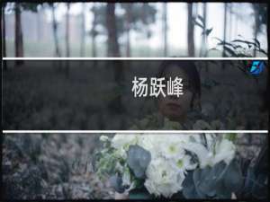 杨跃峰(关于杨跃峰的简介)