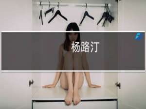 杨路汀(关于杨路汀的简介)