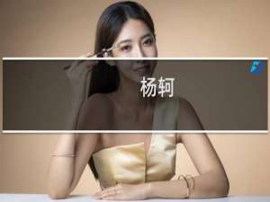 杨轲(关于杨轲的简介)
