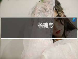 杨辅宸(关于杨辅宸的简介)