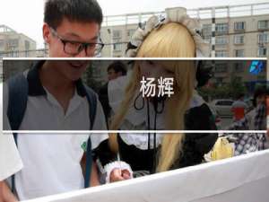杨辉(关于杨辉的简介)