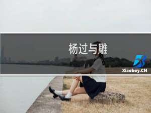 杨过与雕/杨过与他的大雕什么梗