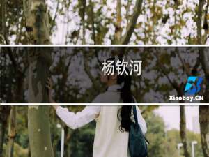 杨钦河(关于杨钦河的简介)